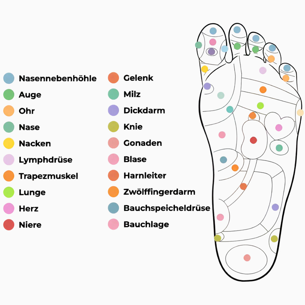 <p>Japanische Weisheit für gesunde [highlight] Füße,Körper & Geist[/highlight] </p>